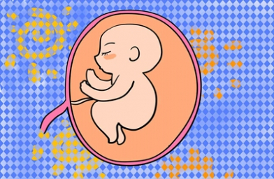 山东上海试管婴儿移植几个胚胎好？