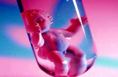 山东广东广州做试管婴儿，哪些因素影响胚胎质量？
