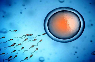 山东浙江杭州做试管婴儿怎么才能得到A级囊胚？