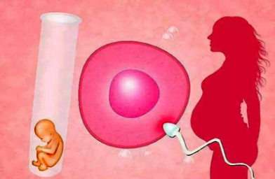 山东成都卵巢早衰女性如何做试管？